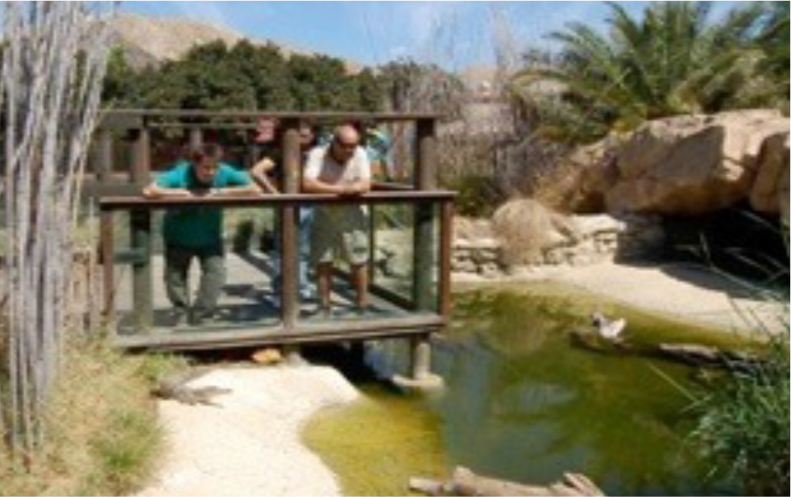 DeZoos Marcelle Natureza